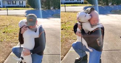 This dog couldn’t stop hugging his new owner after being rescued from abusive people.