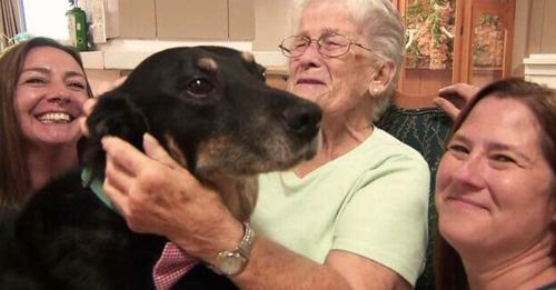 Dog Kept Escaping From Shelter And Running To A Nursing Home To Spend Time With Residents