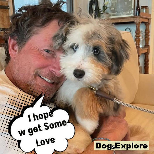 Michael J. Fox Welcomes His Beautiful New Dog, Blue: ‘Welcome to Your Home Forever!