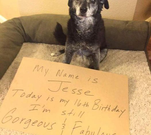 Jesse’s 16th Birthday: A Path to Self-Discovery and Acceptance