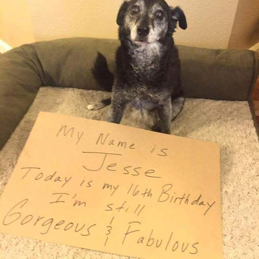 Jesse’s 16th Birthday: A Path to Self-Discovery and Acceptance