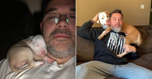 Pittie Loves Napping On Dad’s Shoulder, Even Though She’s A Big Girl Now