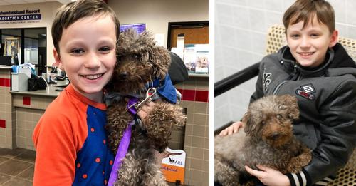 Young Boy takes in Elderly neglected Dog from Shelter, Brings him Joy until his final days!