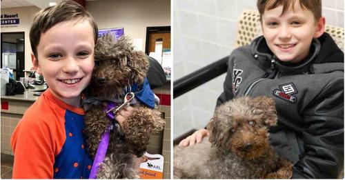 YOUNG BOY ADOPTS SENIOR UNWANTED DOG FROM SHELTER, BRINGS JOY UNTIL HIS FINAL DAYS