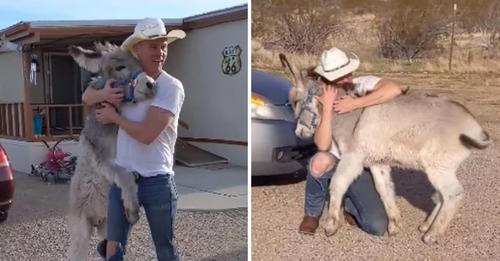 The donkey spots his new owner and wags his tail like a happy dog❤️❤️