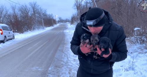 Man spends entire day in cold weather to rescue mama dog and her puppies from a pipe!