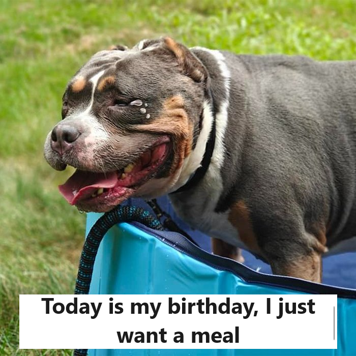 It’s my birthday today, and I simply want to have a complete meal by day’s end