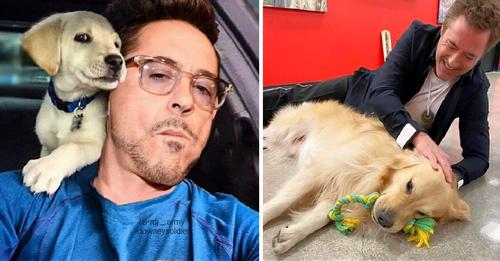 Ironman star Robert Downey reveals that recently, he finds it impossible to live without his rescued animals!