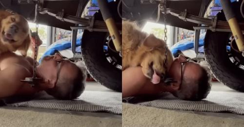 Golden Retriever Snuggles Mechanic Dad While He Works Underneath Car