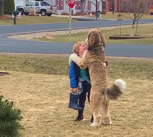 A Touching Reunion: After-School Embraces Between a Dog and Its Young Friend