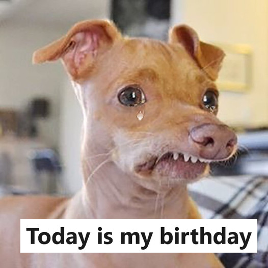 Today is my birthday; I know I’m not beautiful, so I didn’t get any birthday wishes