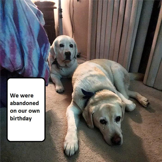 On our birthday, we were left alone