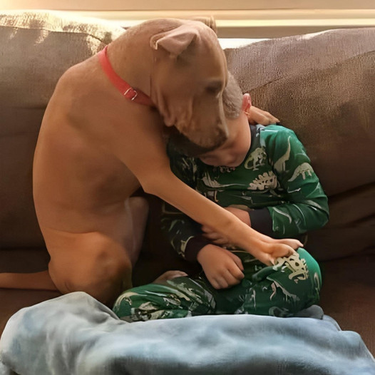 First night at home since leaving the shelter! This is the happiest adoption photo ever!