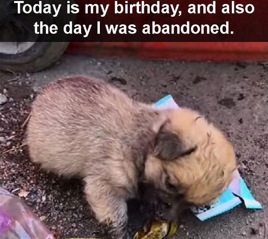 Today is my birthday, and it’s also the day I was abandoned.