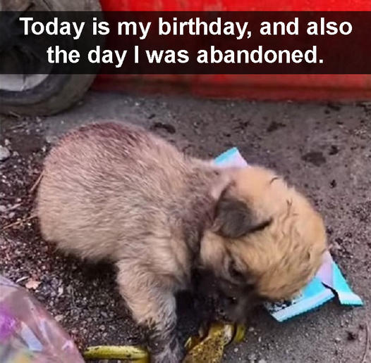 Today is my birthday, and it’s also the day I was abandoned.