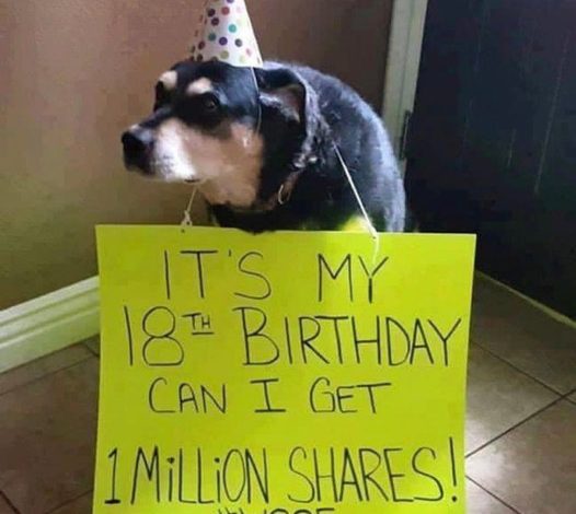 Heartwarming Story of a Dog’s Birthday: Modest Pooch Hopes for 1 Million Shares as a Present