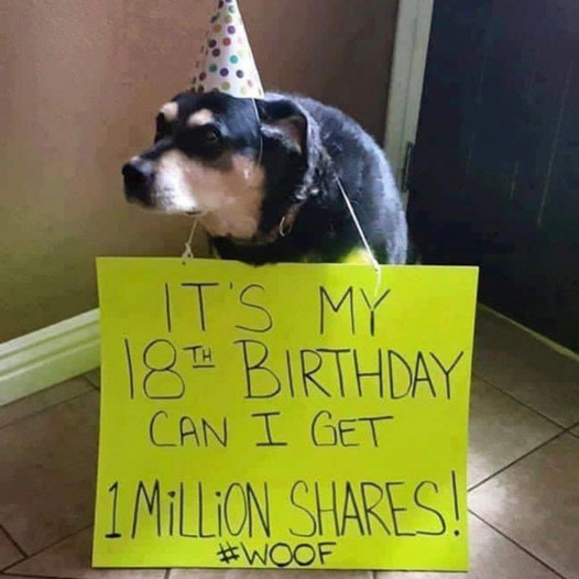 Heartwarming Story of a Dog’s Birthday: Modest Pooch Hopes for 1 Million Shares as a Present