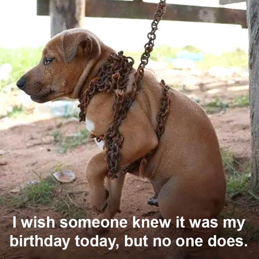 I hope someone realizes it’s my birthday today, but nobody does