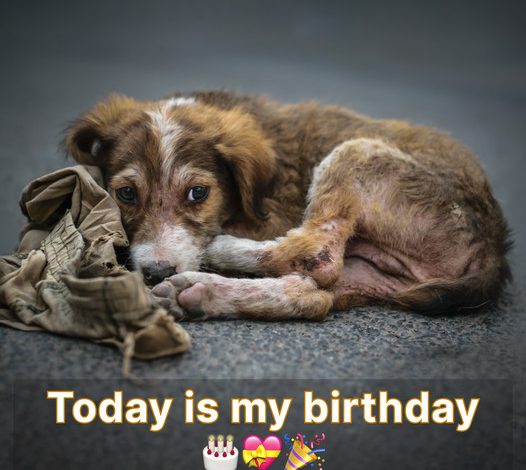 Today is my birthday, but I’m feeling sad because no one has sent me any birthday wishes