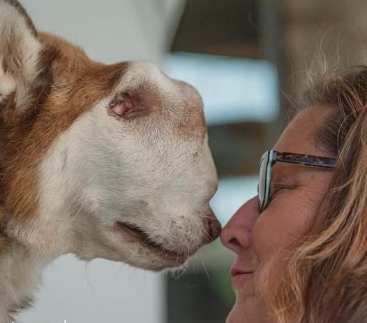 Cherished Dog with Terminal Tumor Receives Love and Care in Her Last Days