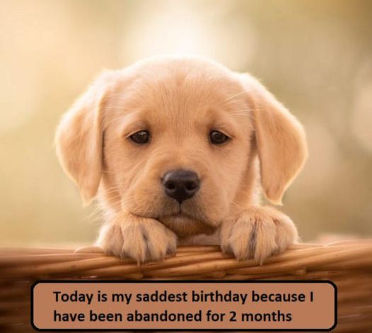 Today is my most sorrowful birthday because I’ve been alone for 2 months