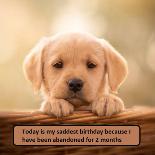 Today is my most sorrowful birthday because I’ve been alone for 2 months