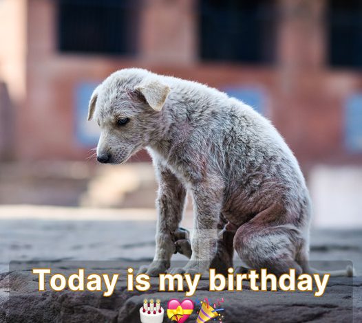 Today is my birthday, but I’m feeling down since no one has recognized it with any birthday wishes.