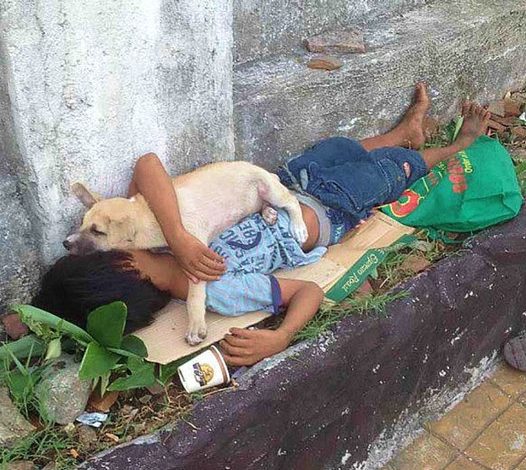 A heartwarming story emerges when a young boy, left by his parents, finds love and comfort in the dedicated embrace of a faithful dog.