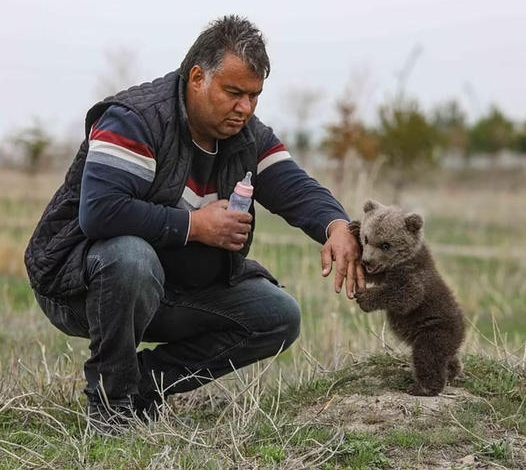 The hunger is gone! Cute orphan boy drinks milk from bottle after being discovered alone in the wilderness without his mother.