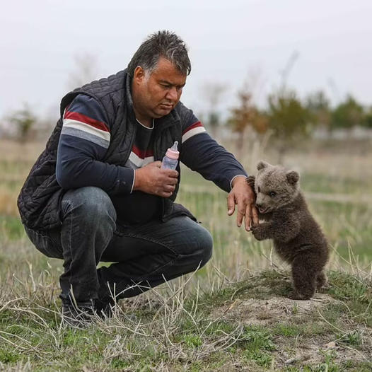 The hunger is gone! Cute orphan boy drinks milk from bottle after being discovered alone in the wilderness without his mother.