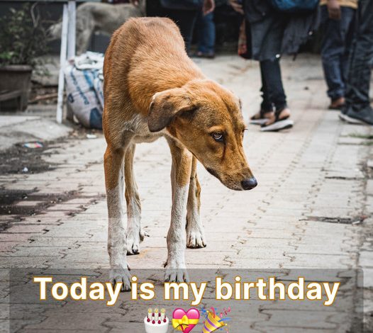 Today is my birthday, yet I feel quite sad since no one has wished me a happy birthday.