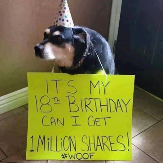 A touching story about a dog’s birthday: a modest dog requests one million shares as a gift.