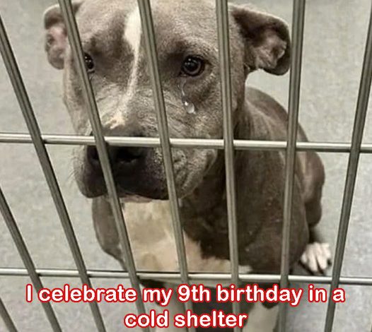 Today, I mark my 9th birthday inside a chilly shelter