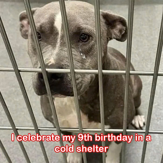 Today, I mark my 9th birthday inside a chilly shelter