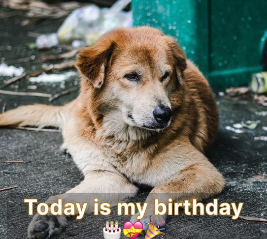 Today is my birthday, but I feel sad because no one has remembered it.