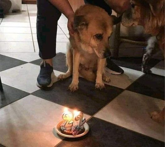 On my 22nd birthday, I felt sad because nobody wished me a happy birthday