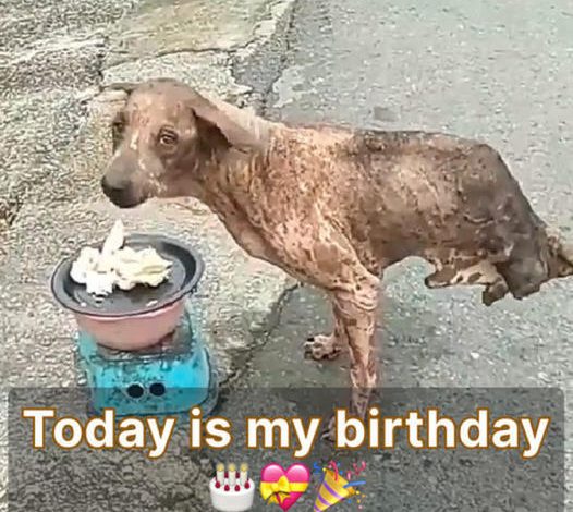 Today is my birthday, and I haven’t received any blessings yet ‎