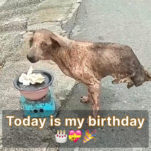 Today is my birthday, and I haven’t received any blessings yet ‎