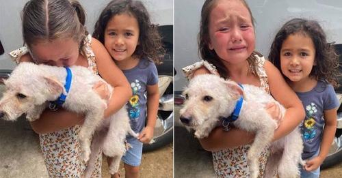 The Joyful Reunion: Young Girl Reconnects with Her Cherished Dog After Two Months Apart