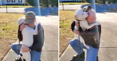 A Rescue Dog Encounters Her New Human Dad And Won’t Stop Hugging Him