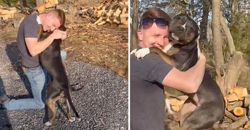 A touching reunion: Soldier and dog experience emotional connection after 8-month deployment