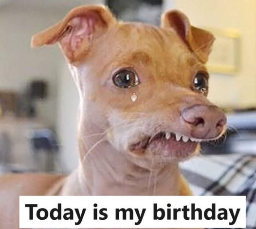 Today is my birthday, but since I’m not attractive, I didn’t get any birthday wishes.