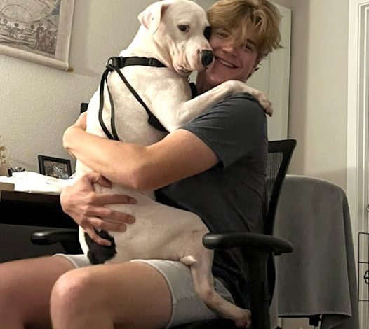 Incredible Reunion: Bely, the Missing Dog, Comes Back Home After 465 Days, Melting Hearts Online