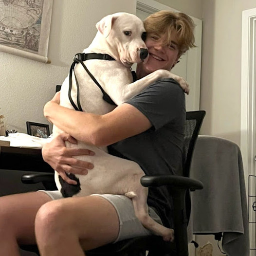 Incredible Reunion: Bely, the Missing Dog, Comes Back Home After 465 Days, Melting Hearts Online