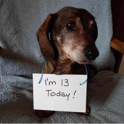 Today marks my 13th birthday, but I haven’t received any birthday wishes so far.