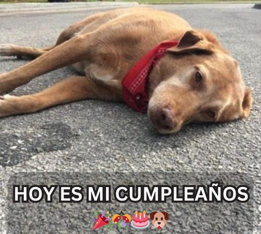 Cuando un cumpleaños se transforma en un día solitario: expectativas fallidas cuando nadie recuerda