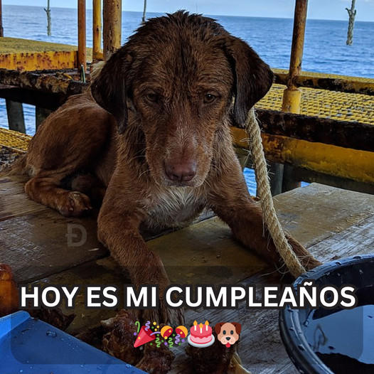 Cumpleaños en soledad en medio del océano: en este día especial, no recibí ningún deseo