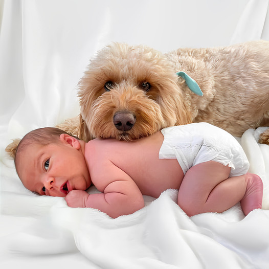 When the Family Dog Joins the Newborn’s First Photo Session: Heartwarming and Precious Moments