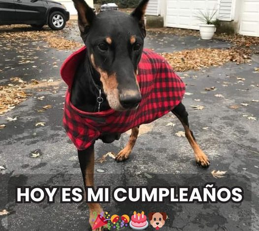 Cumpleaños en soledad: ninguna felicitación en mi día especial