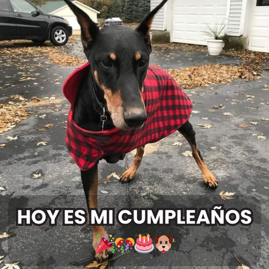 Cumpleaños en soledad: ninguna felicitación en mi día especial